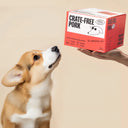 Dog looking at a 'Crate-Free Pork' product box held by a person on a beige background