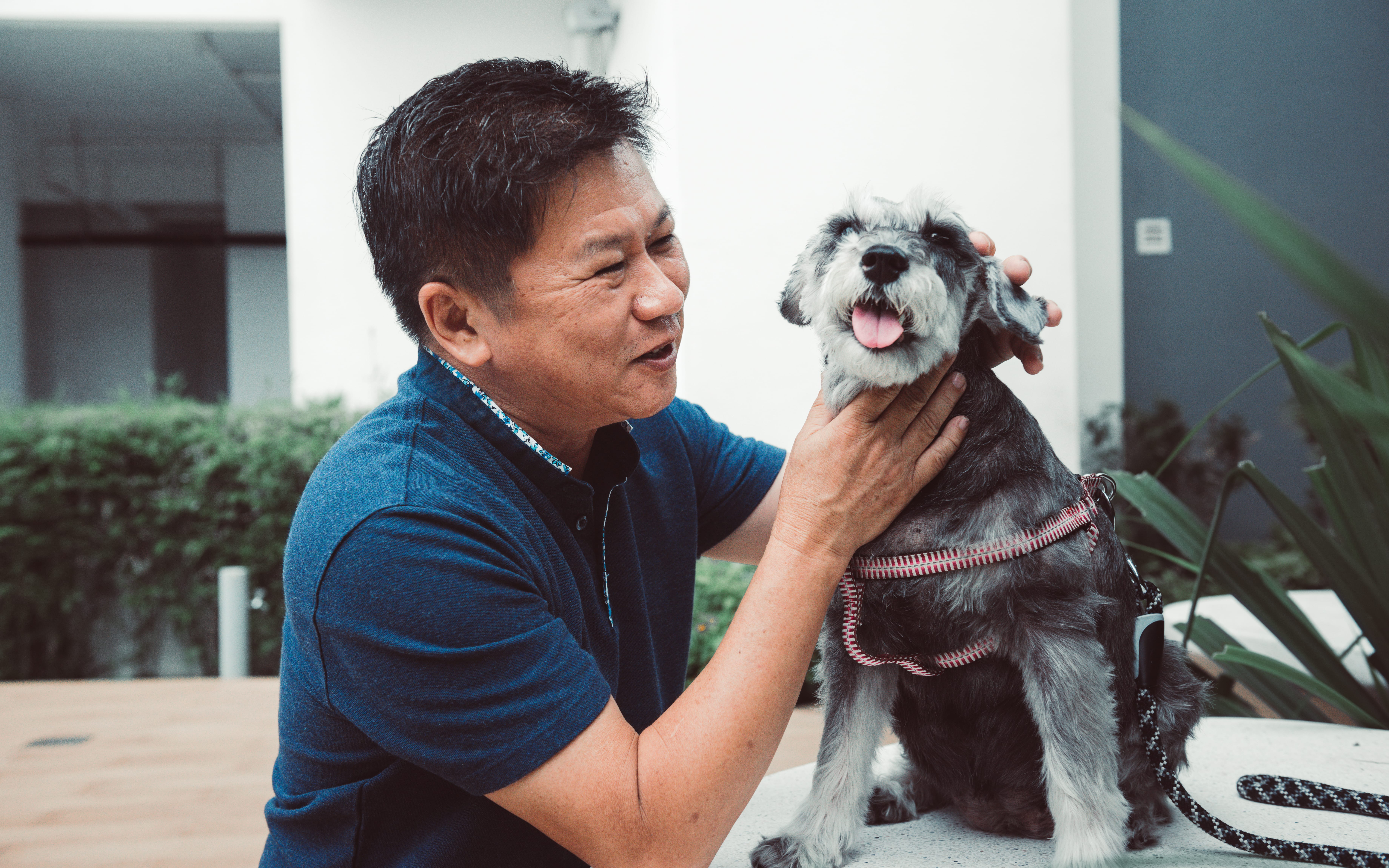 Man smiling at dog