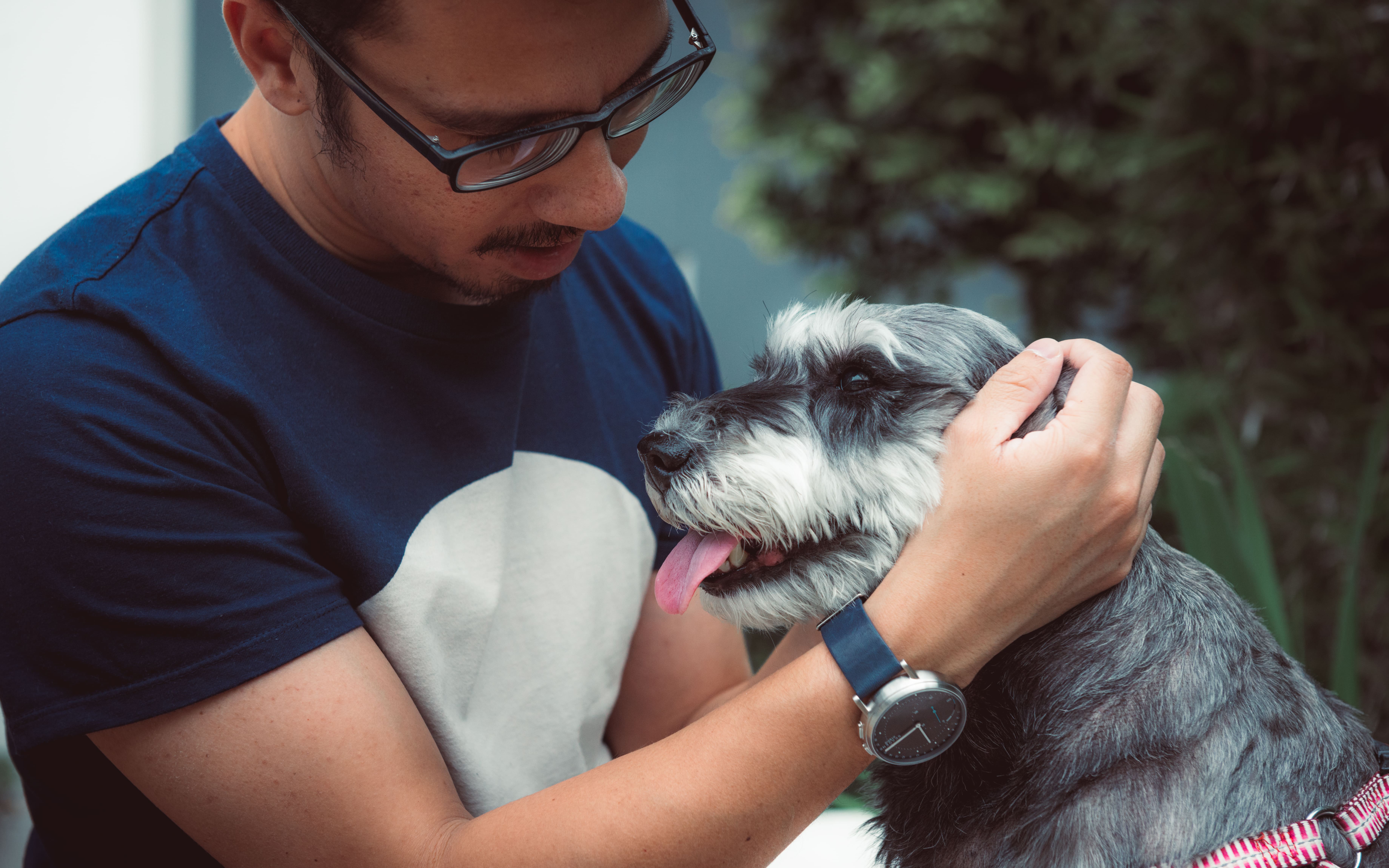 Man scratching a dog behind ear