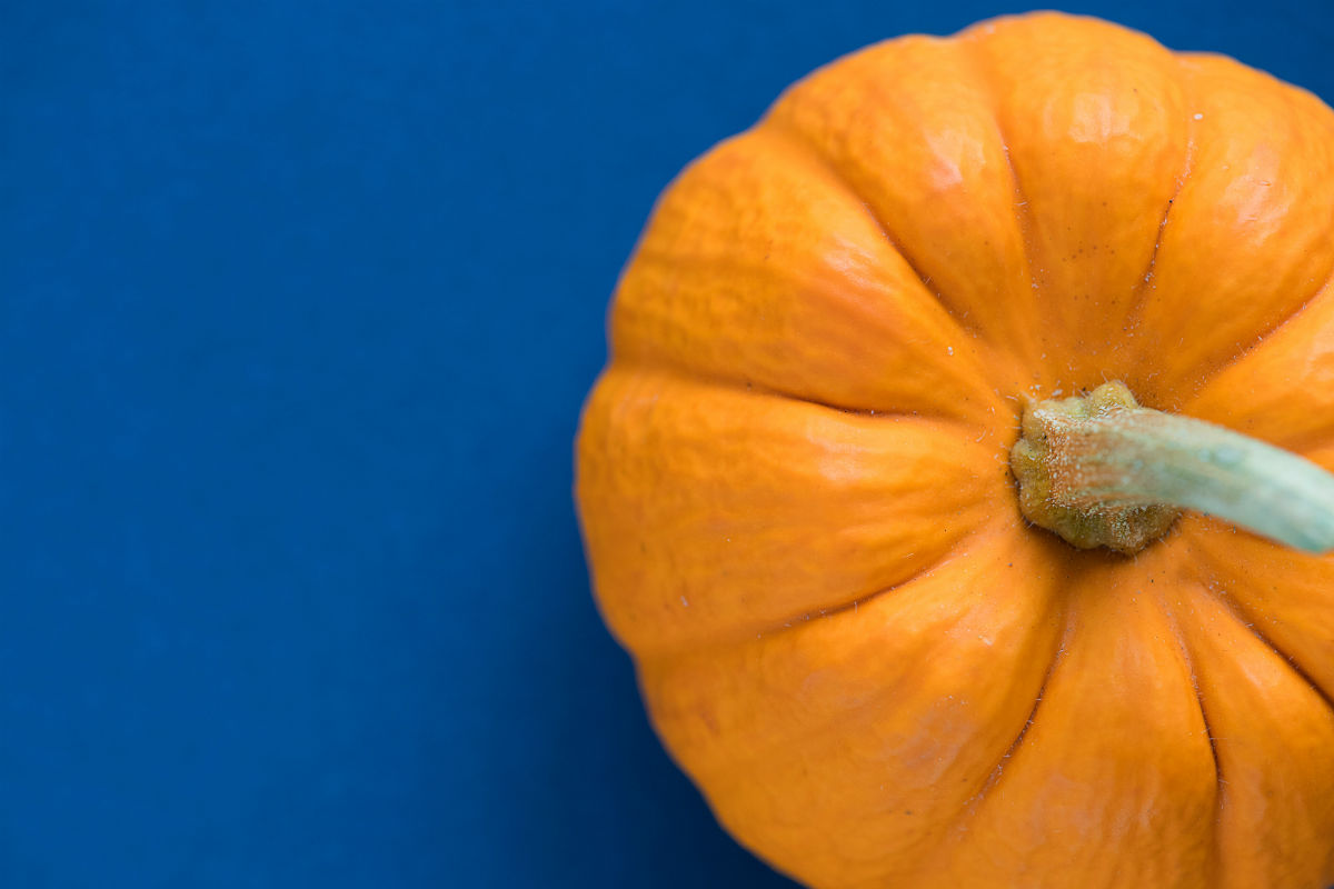 Whole pumpkin against blue background