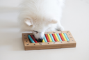 Keeping Your Dog Mentally Stimulated With DIY Toys Under SGD5