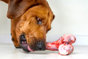 Safe Raw Bones for Dogs