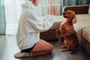 The Gut-Brain Connection in Your Dog