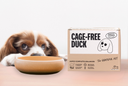 Dog behind dog bowl and box of dog food