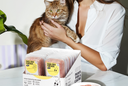 How Fresh Cat Food Stacks Up Against Other Diets
