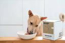 Benefits of a Once-a-Day Feeding Schedule for Dogs