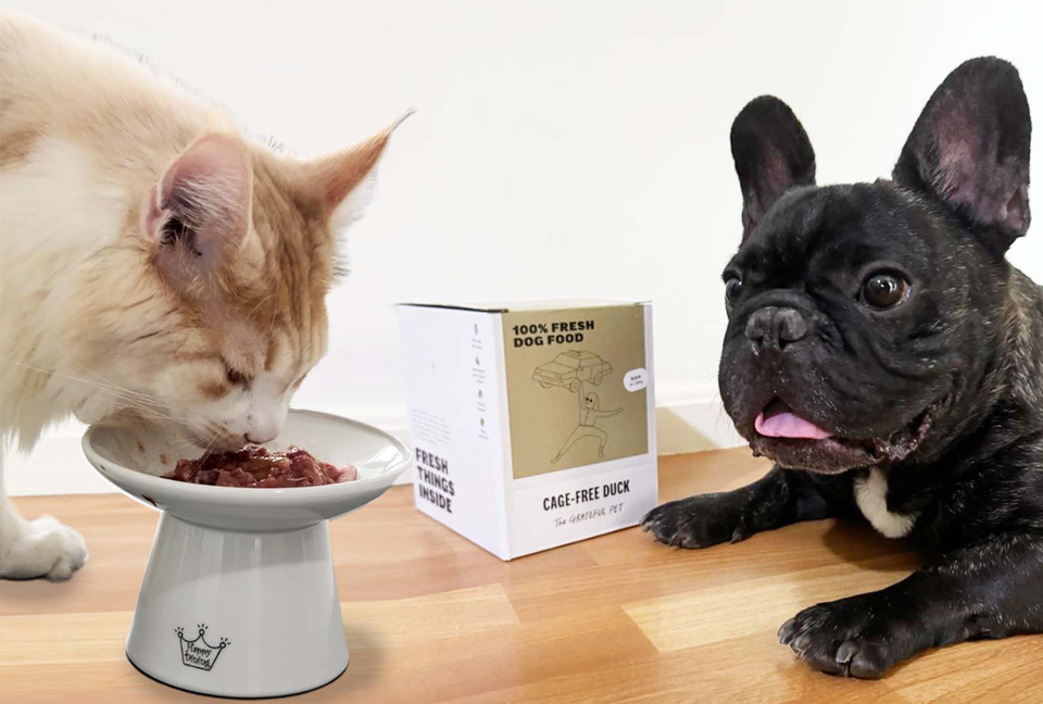 Home | Hollywood Feed | Your Local Pet Food Experts