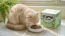 5 Silent Signs Your Cat Might Have a UTI
