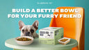 Dog Food Guide: What to Look For & What to Avoid
