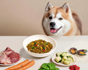 Pomsky in front of table with fresh dog food and fresh ingredients