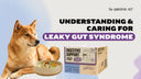 understanding and caring for leaky gut syndrome in dogs