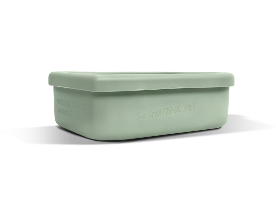 Keep Fresh Box - Sage: Silicone Container for Pet Food – The Grateful Pet