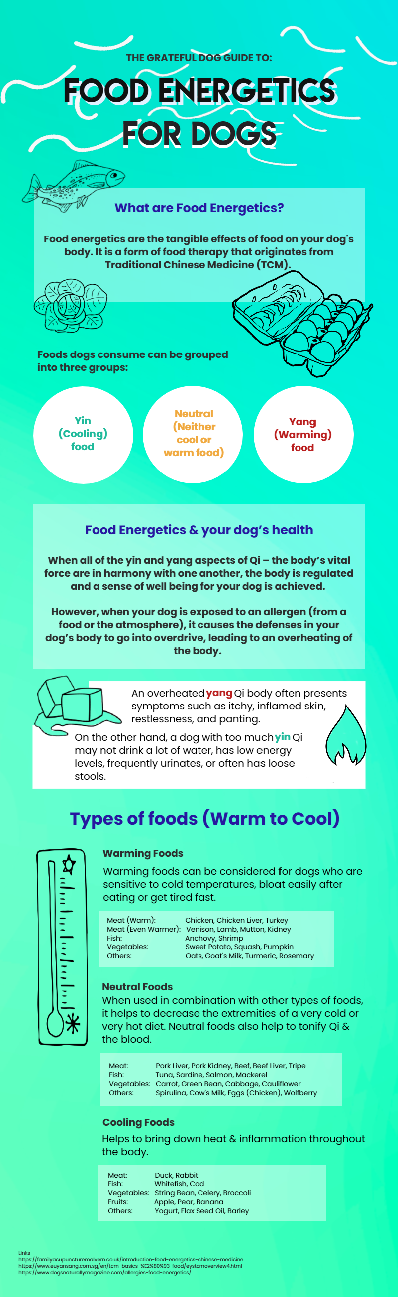 Food energetics infographic