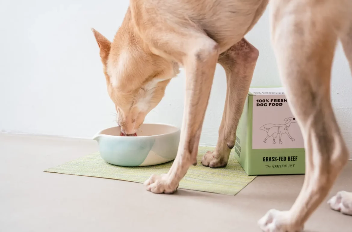 Dog licking from a natural way cleaned pet bowl.