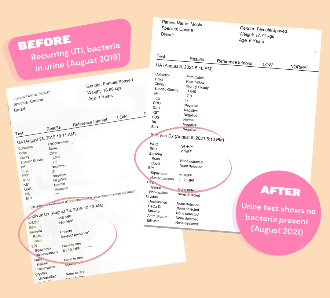 Mochi Testimonial UTI Lab Report