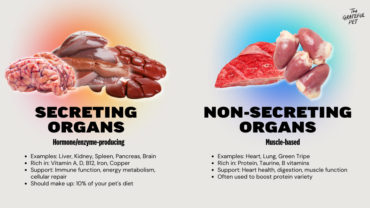 comparison between non secreting and secreting organs