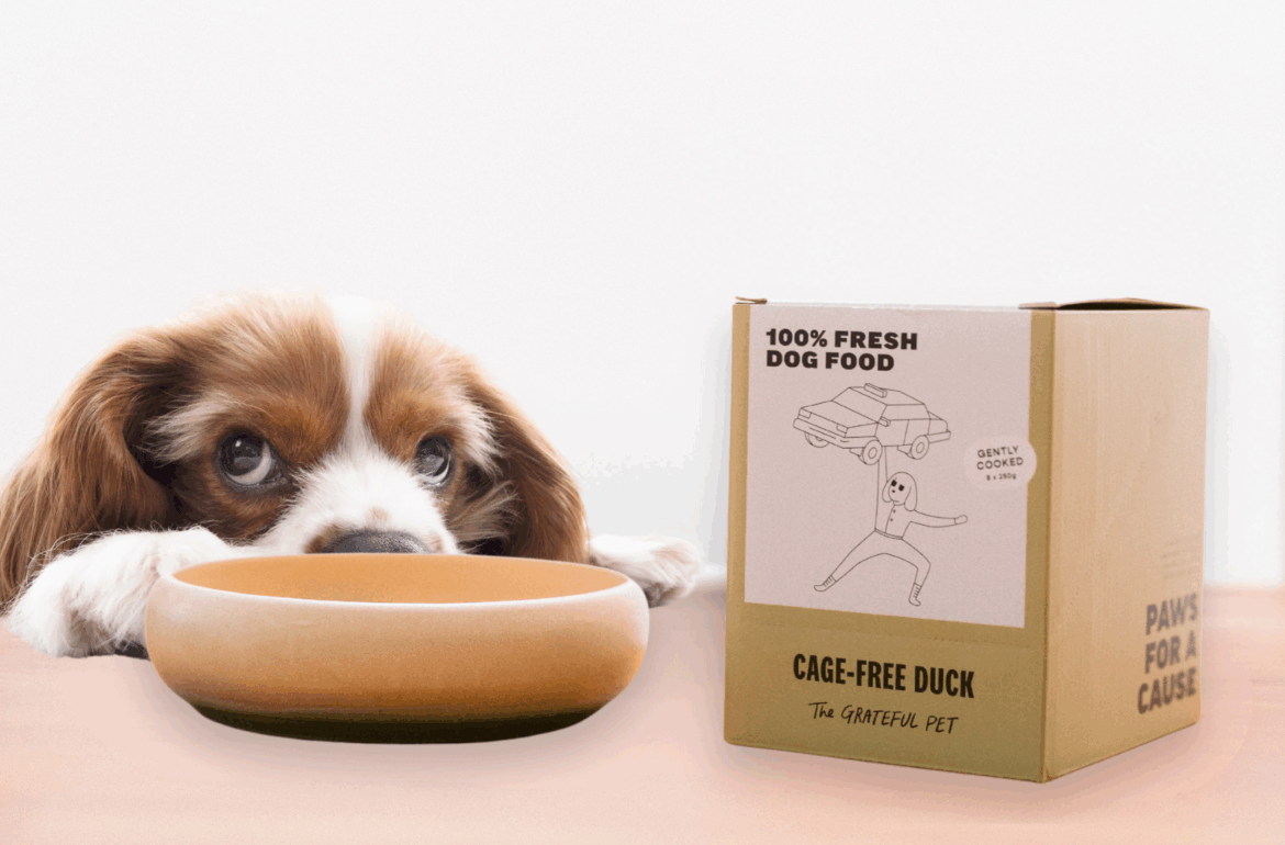 Dog peering over table with The Grateful Pet's cage-free duck for dogs