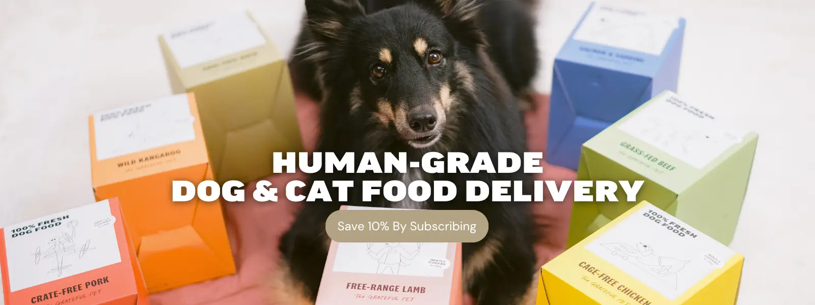 Human grade dog and cat food subscription delivery banner
