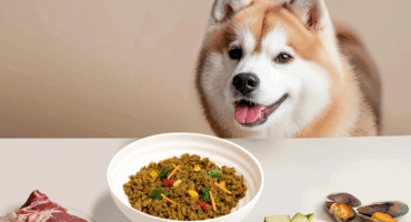 Grain Free Fresh Food With Dog